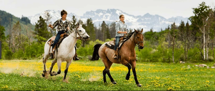 Confident plus-size woman riding West Bromwich a horse through a field with a smile on her face.